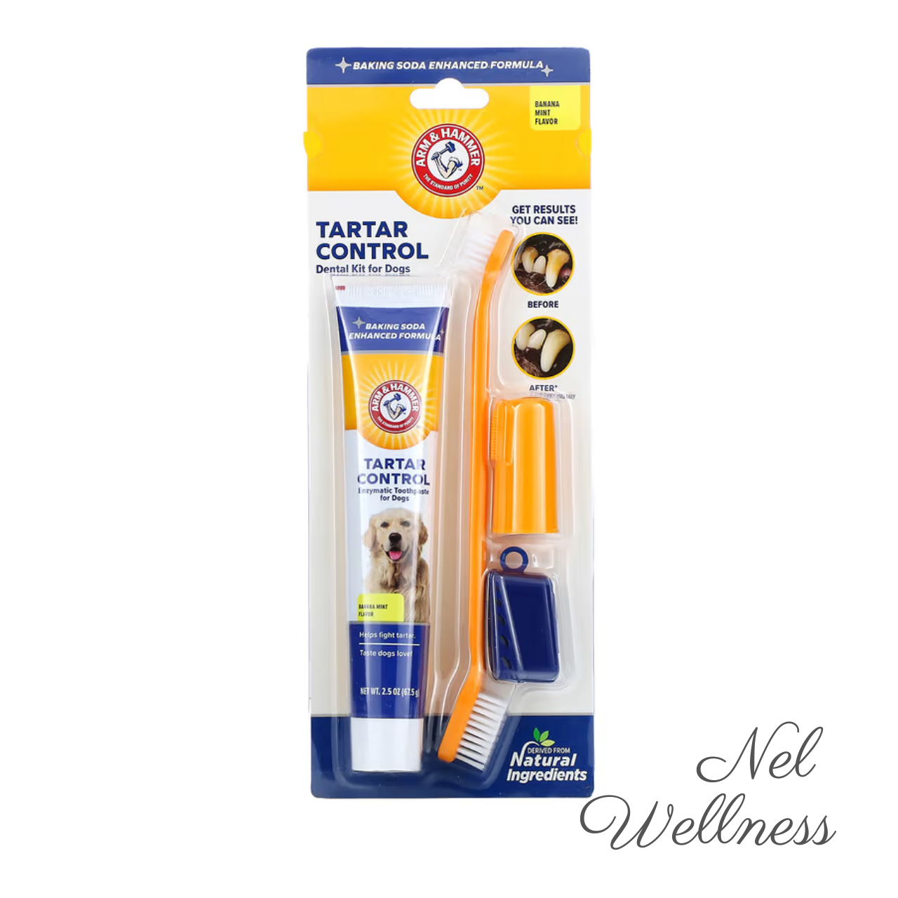 [EXPIRY 2026] Arm & Hammer Tartar Control Dental Kit for Dogs Banana Mint Flavour 67.5g